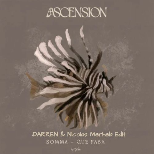 SOMMA — Que Pasa (They Dont Know) (:DARREN & Nicolas Merheb Edit)