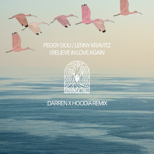 Peggy Gou, Lenny Kravitz — I Believe In Love Again (:DARREN X Hoodia Remix)